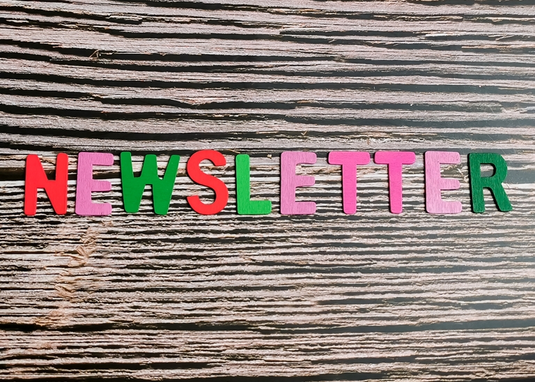 The word newletter placed on a tree bark background, each letter in one of four colors, red, pink, dark pink and green.