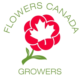 Flowers Canada Growers logo with a white maple leaf at the center of red flower with a green stem