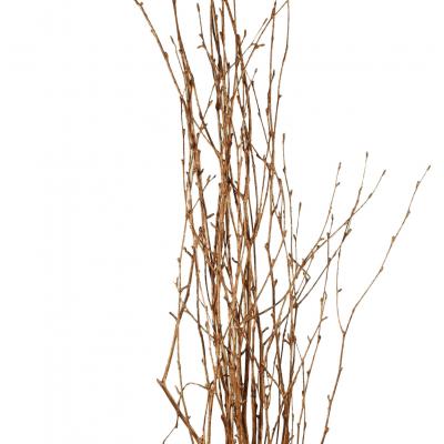 0004284 Birch Large Painted Copper 36 48