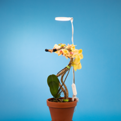 Led Plant Light 3