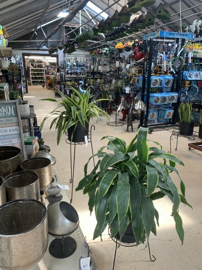 A variety of garden decoration items at Minor's.