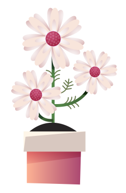 Drawing of a potted plant with three flowers blooming on it.