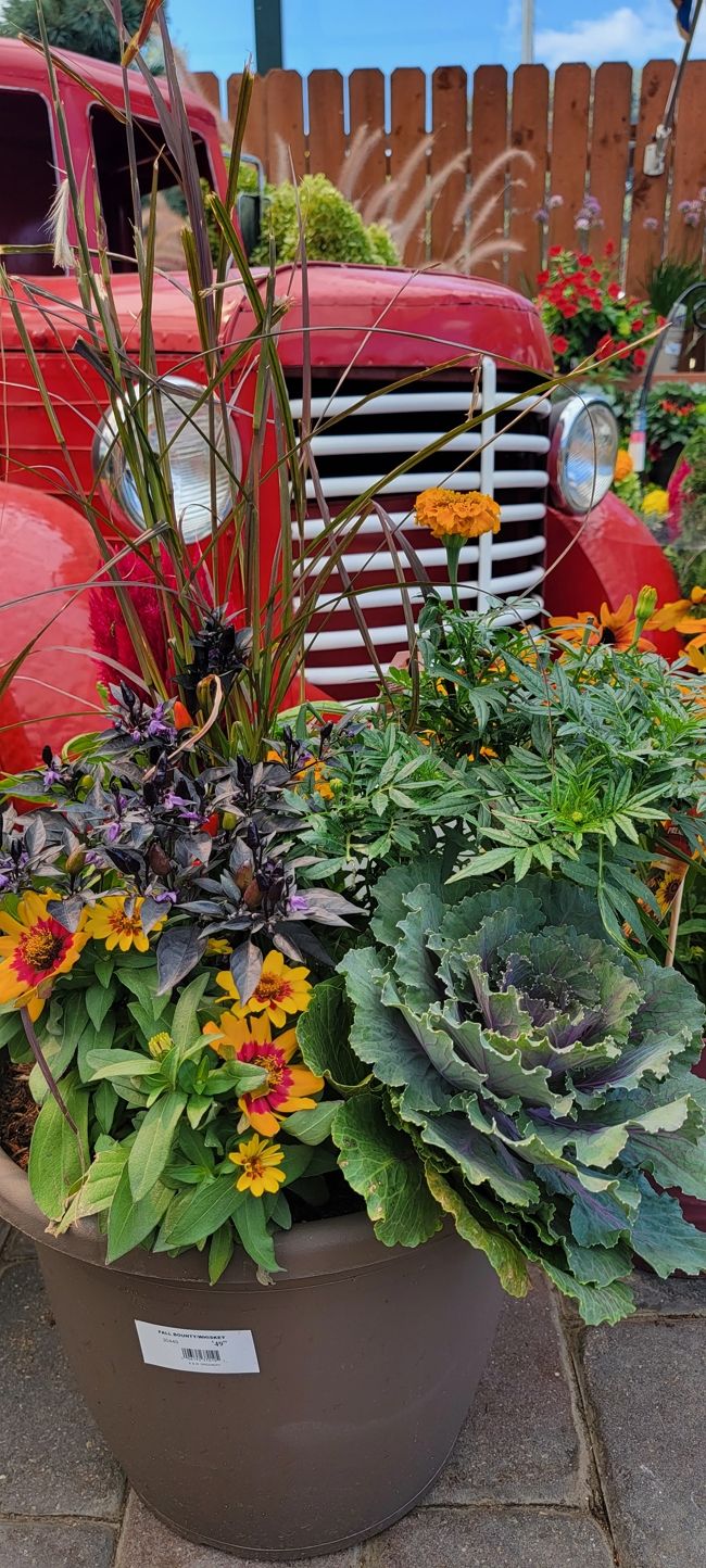 A planter with a variety of plants on the ground in front of a red truck at K&W Greenery.