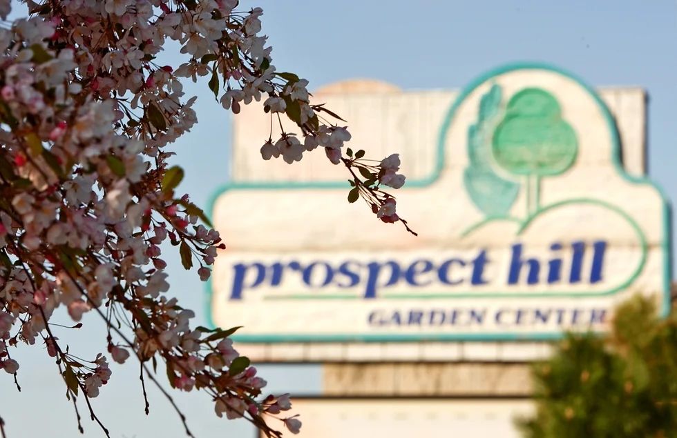 A image of the Prospect Hill Garden Center sign.