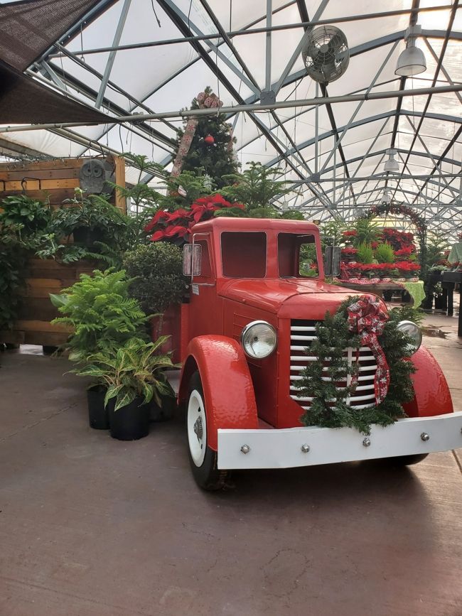 Image of  red truck covered in holiday plants at K&W Greenery.