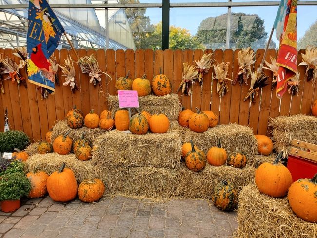A variety of pumpkins outside of K&W Greenery.