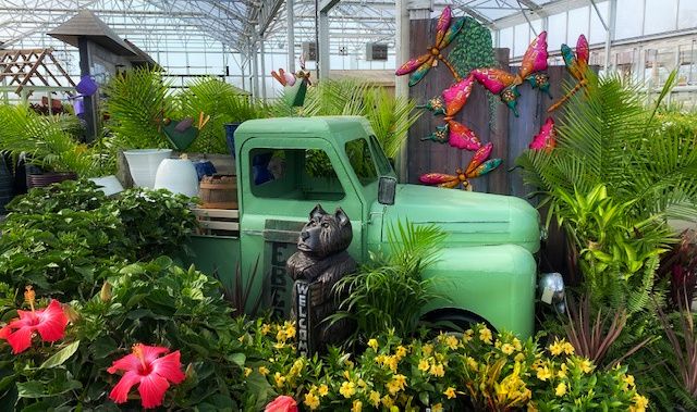 Green truck surrounded by plants at Ebert's Greenhouse Village.